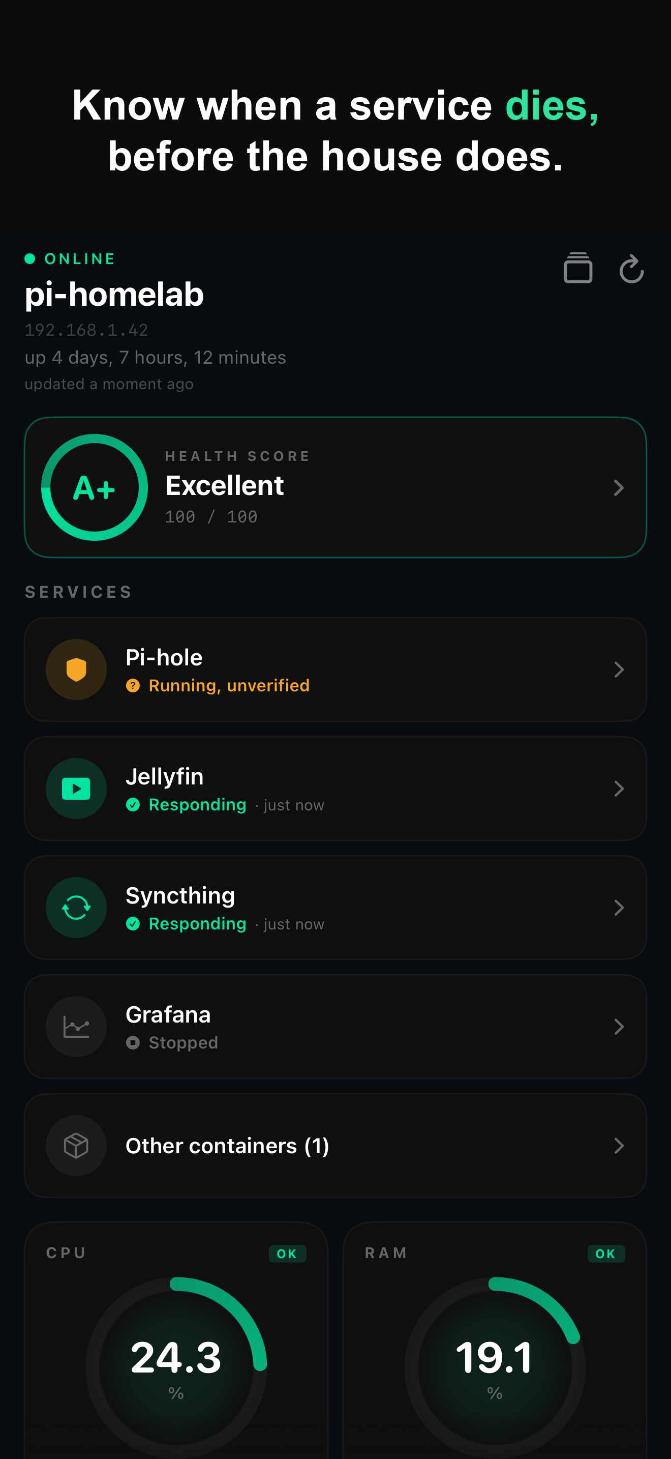 Service cards showing Pi-hole, Jellyfin, Syncthing responding and Grafana stopped